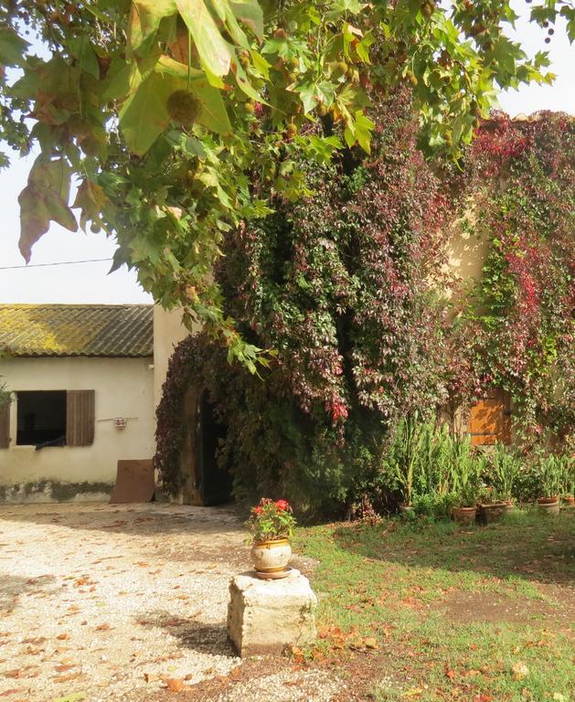 بوكير B&B Mas Les Lecques المظهر الخارجي الصورة