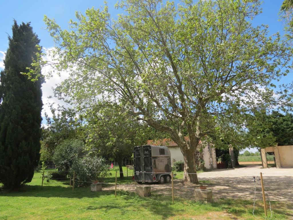 بوكير B&B Mas Les Lecques المظهر الخارجي الصورة